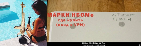 СК Покров
