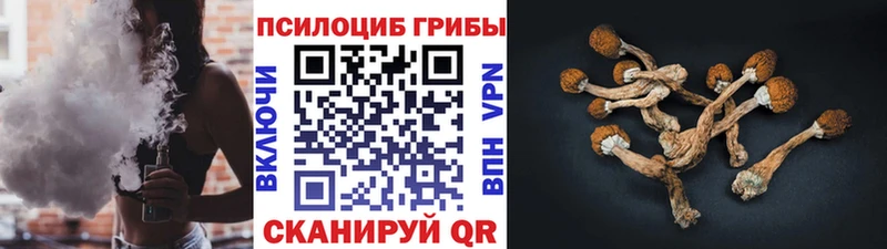 Галлюциногенные грибы ЛСД  Щигры 